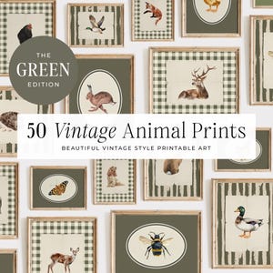50 Animals Vintage Nursery, Nursery Wall Art, Farmhouse Nursery, Print, Baby Nursery, Vintage Gallery Wall, Printable Art, DIGITAL | MB019