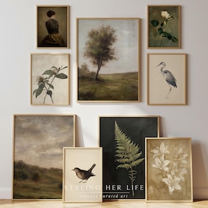 Puede incluir: Una colecci&oacute;n de grabados art&iacute;sticos vintage enmarcados. Los grabados presentan ilustraciones bot&aacute;nicas, pinturas de paisajes y retratos en tonos apagados. Los marcos son de color madera clara. El texto "STYLING HER LIFE vintage curated art" est&aacute; en la parte inferior.