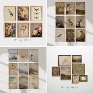 Puede incluir: Una colecci&oacute;n de grabados art&iacute;sticos vintage enmarcados. Los grabados presentan ilustraciones bot&aacute;nicas, paisajes y retratos de animales en tonos apagados. El texto "STYLING HER LIFE curated art" es visible en la parte inferior de algunos grabados.