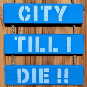 Coventry City FC Inspired Wall Hanging - City Till I Die