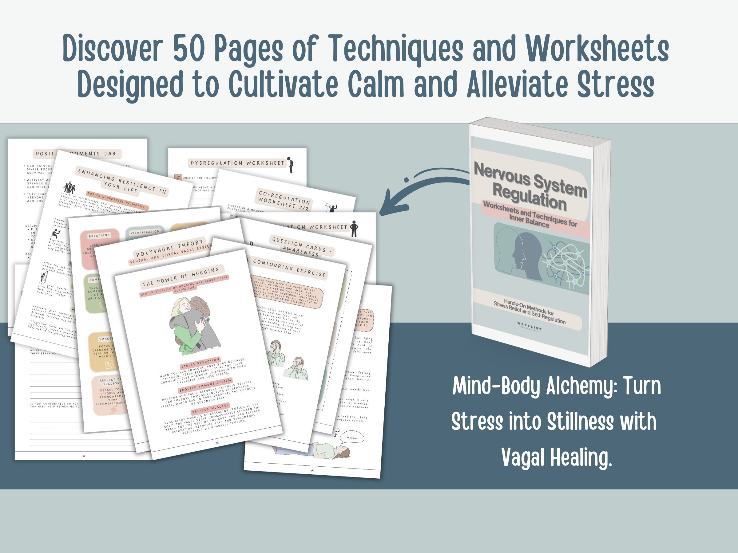 Nervous System Regulation Workbook: Somatic Therapy & Vagus Nerve ...