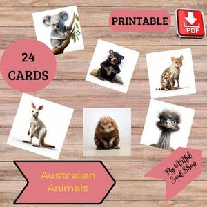 AUSTRALIAN ANIMALS (real pics) • 24 Editable Montessori Cards • Flash Cards Nomenclature FlashCards Editable PDF Printable Cards preschool