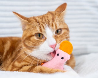Toys for cat toys with catnip cat toys rustling sound cat toy aesthetic pink duckling toy with catnip toy for kittens catnip toys aesthetic