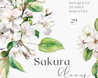 Watercolor Sakura Clipart: Cherry Blossom Illustrations (Digital Download)