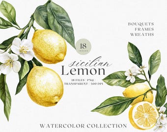 Sicilian Lemon - Watercolor lemon floral bouquet clipart, elegant citrus illustrations for Mediterranean designs