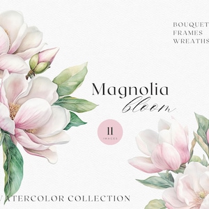 Clipart di bouquet di magnolia ad acquerello - Eleganti PNG floreali rosa per design di matrimoni e branding