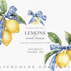 Aquarela de limões sicilianos e fita mediterrânea — Conjunto de clipart elegante