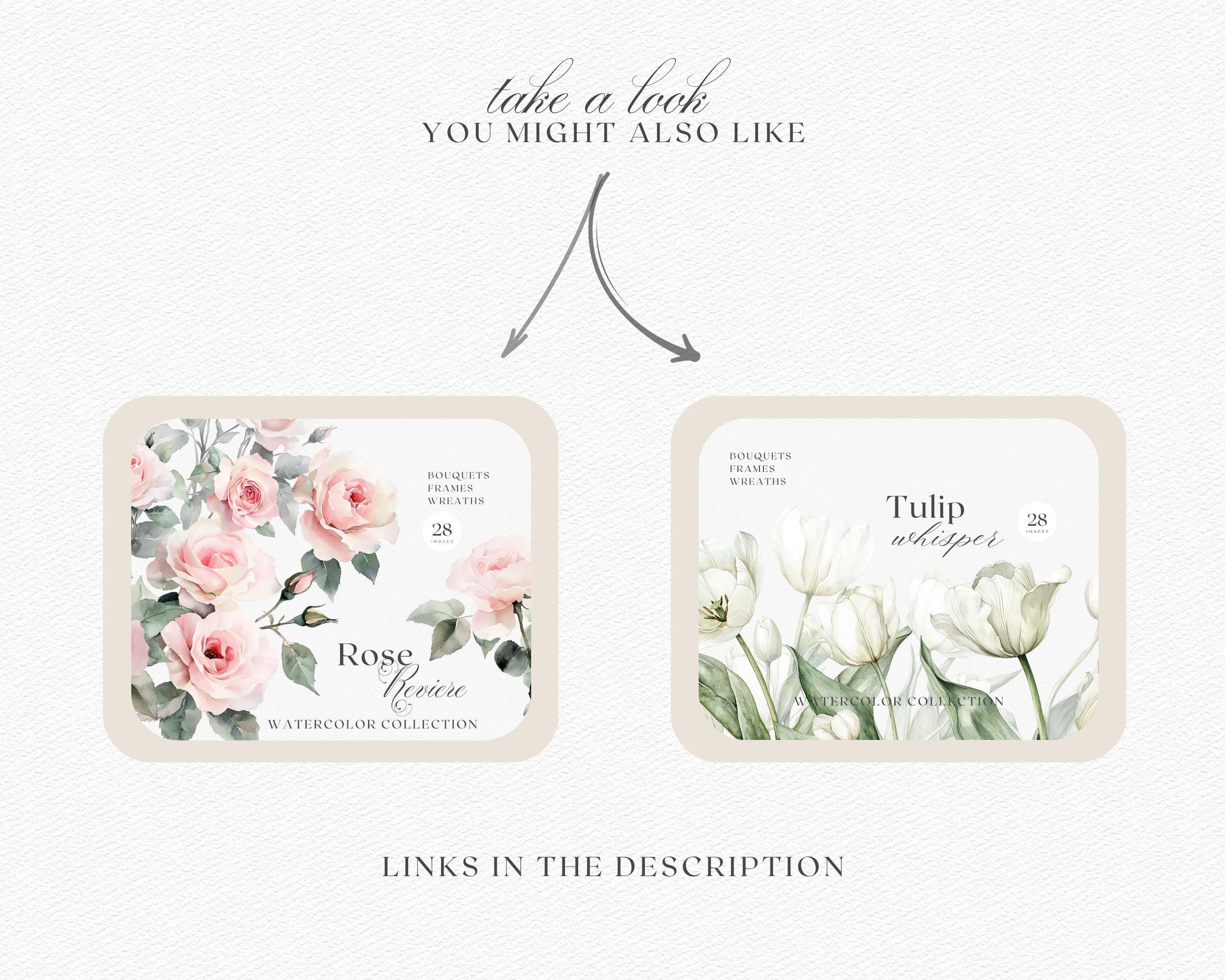 Blush Pink Peony Clipart — Watercolor Floral Set for Elegant Creations ...