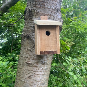 Bird nesting box, Bird house , Roosting  box. Rustic Wooden