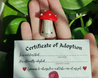 BABY ROCK Magnetic W/ Adoption Certificate Adopt an Adorable Desk