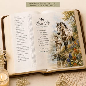 Könnte beinhalten: Ein Set von Bibel-Einlegern mit Schriftkarten auf durchscheinendem Pergamentpapier. Jede Karte misst 16 cm mal 23,1 cm und zeigt den Text von Psalm 23 sowie eine Illustration von zwei Pferden in einer Landschaft mit bunten Wildblumen.