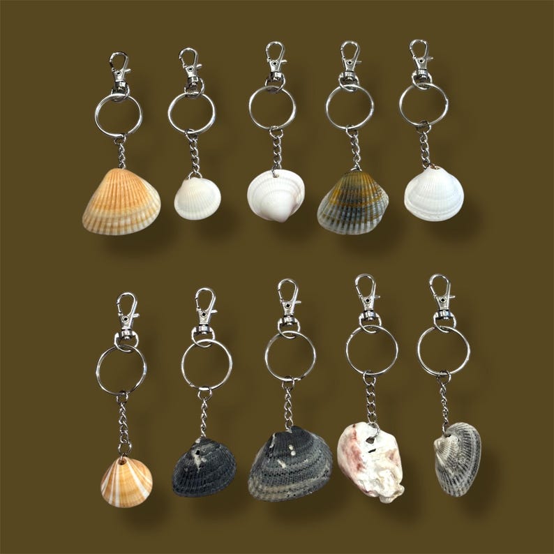May include: A collection of ten seashell keychains. Each keychain features a different seashell attached to a silver-colored chain, ring, and clasp. The seashells vary in color, including white, tan, black, and grey. The background is a solid, muted brown.