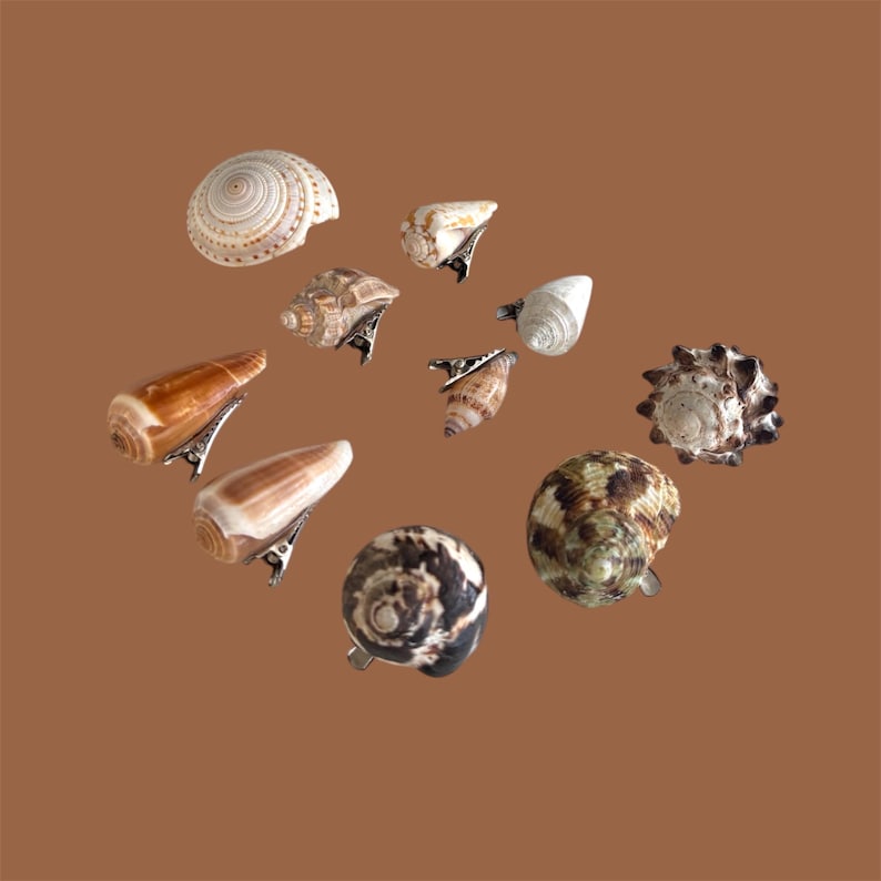 May include: A collection of various seashells, each attached to a silver-colored hair clip. The shells display a range of colors, including brown, white, and speckled patterns. The clips are arranged on a solid brown background.