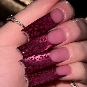 Pu&ograve; includere: Primo piano di unghie lunghe, quadrate, bordeaux con un motivo leopardato sulle punte. Le unghie hanno una finitura lucida e una base rosa. &Egrave; visibile anche un anello d'oro con un motivo a diamante.