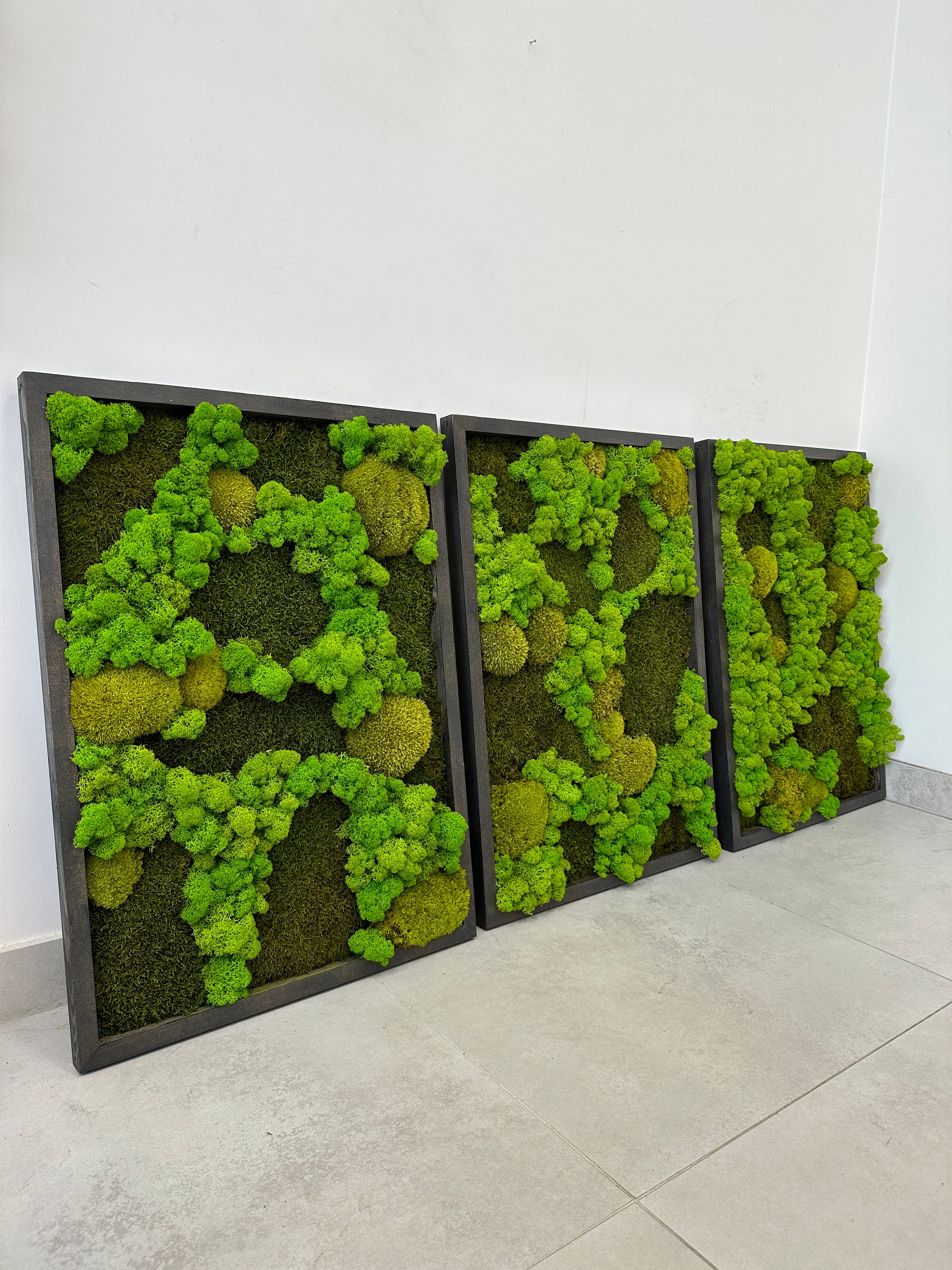 Set of 3 Moss Wall Art Frame Eco Natural Living Wall Ar Etsy