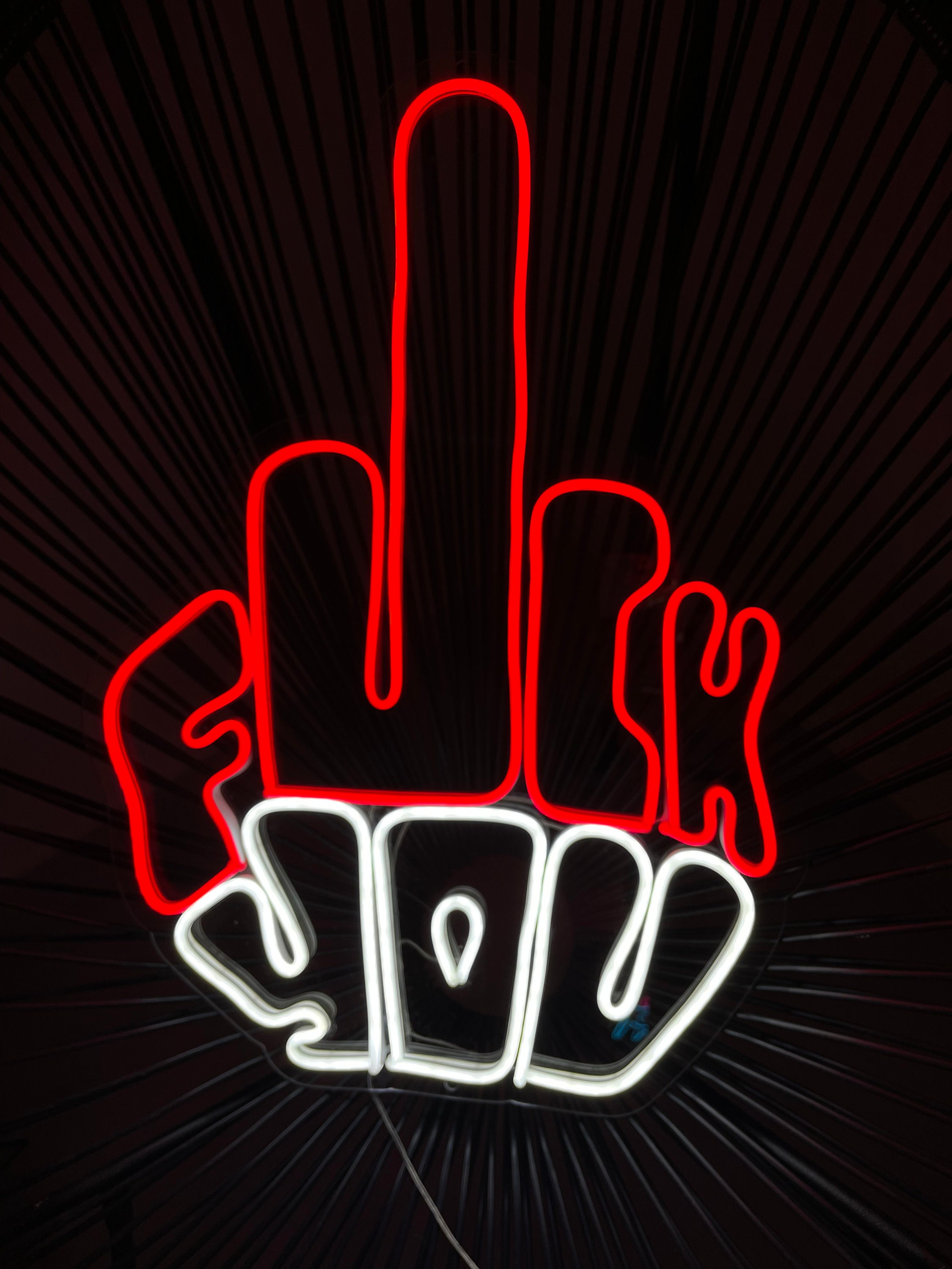 F*#k You LED Neon Sign Funny Up Your Middle Finger Lighting Mantra Rude Wall