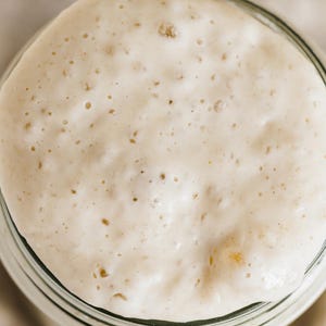 Receta fácil de masa madre para principiantes / Método de iniciación de bajo mantenimiento imagen 2