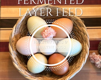 Receta de alimento fermentado para pollos / Resultados comprobados / Sin soja / Alto contenido en proteínas