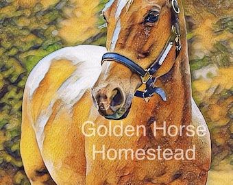 Puede incluir: Un caballo dorado con marcas blancas se encuentra en un campo. El caballo lleva una cabezada azul y tiene una crin blanca. El fondo es una imagen borrosa de árboles y hierba. El texto "Golden Horse Homestead" es visible en el centro inferior de la imagen.