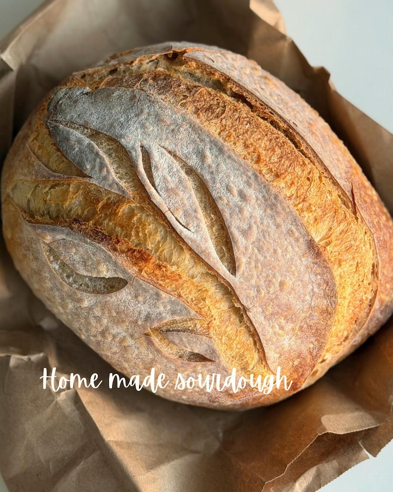 Receta fácil de masa madre para principiantes / Método de iniciación de bajo mantenimiento imagen 4