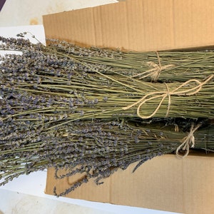 Bulk Dried Lavender Bundles-Case of 12
