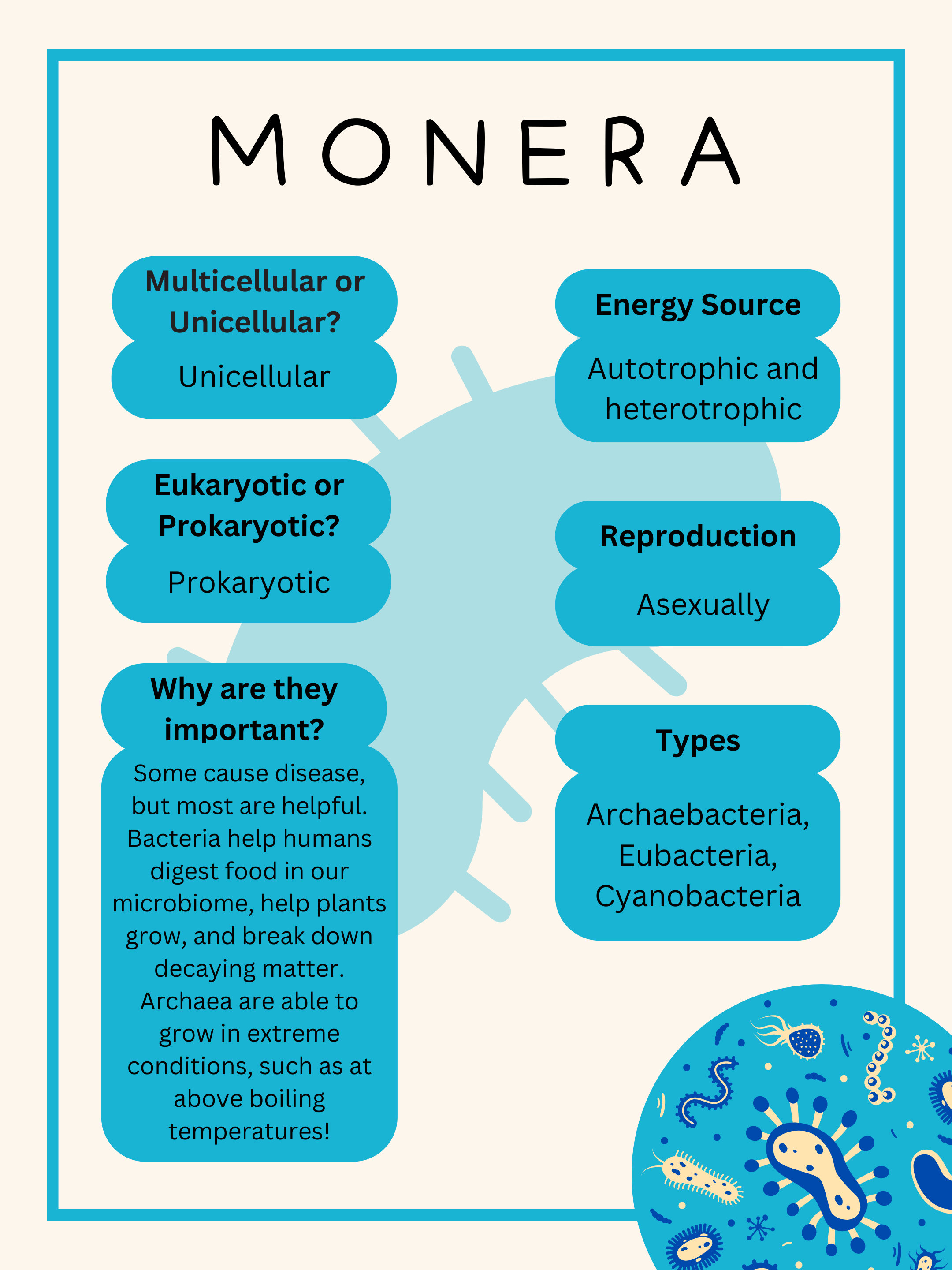 Kingdoms of Life Classroom Poster - Etsy