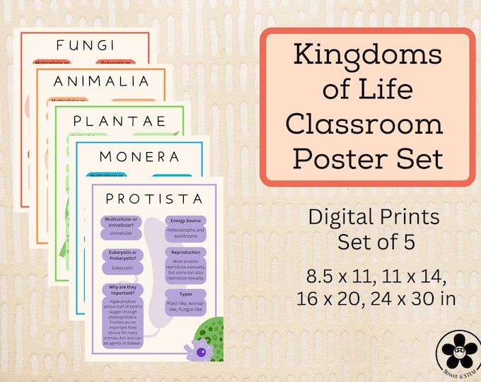 Evolutionary Biology Tree of Life Poster: Educational Nature Art - Etsy ...