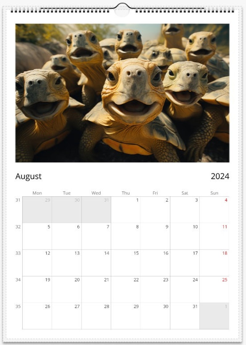 Safari Selfie Calendars 2024, A3 & A4 Hanging Calendars, Funny Calendar