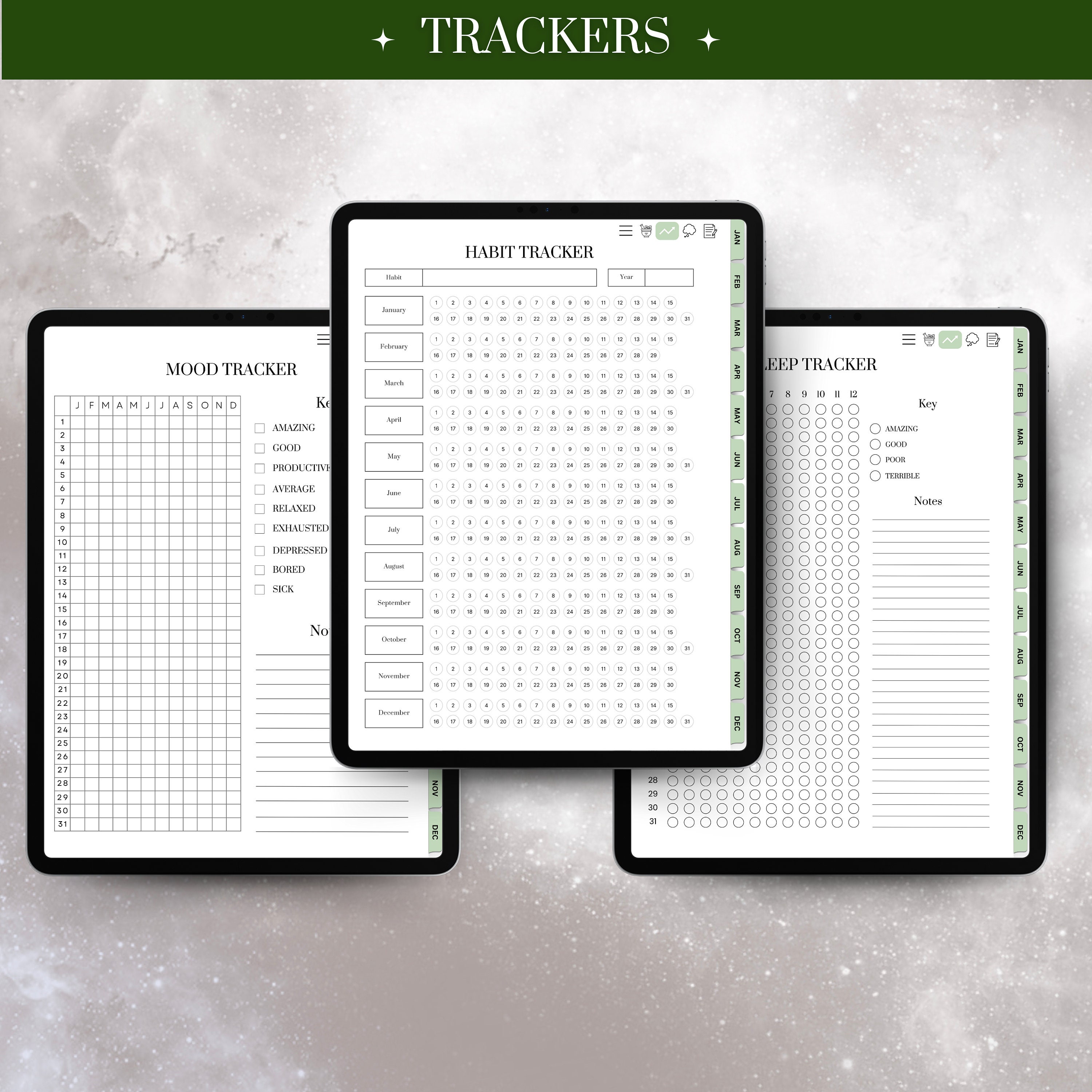 Witchy Digital Planner Lunar Calendar Manifestation Journal iPad ...
