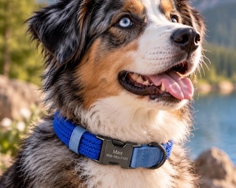 Collare per cani con fibbia incisa, collare in nylon personalizzato con nome e numero di telefono, collare identificativo per cani intrecciato personalizzato, regalo per un cucciolo