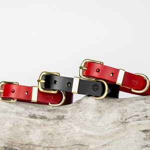 May include: Three leather dog collars in red and black, with gold-coloured metal hardware. The collars are arranged on a piece of driftwood against a white background. Each collar has a buckle and a D-ring.