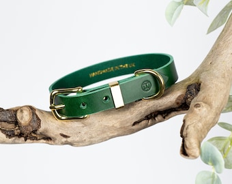 Green Leather Dog Collar, Personalized Dog Collar, Handmade Leather Collar with Brass Hardware for Small and Large Dogs, Luxury Pet Collar