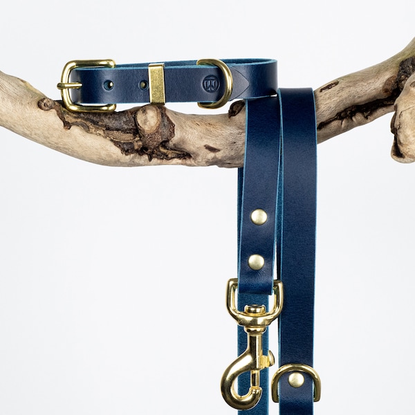 Navy Blue Dog Collar Etsy