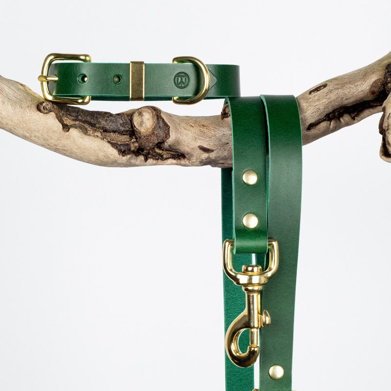 Pet Collar Leash Set main image 1