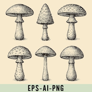 Vintage Pilz Illustrationen, Botanische Tusche Zeichnung, Cottagecore Wandkunst, Wald Natur Clipart, Rustikales druckbares Dekor, Pilz Png