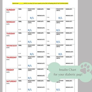 Printable Dog Insulin Chart, Log Book, Journal Planner, Monitor ...