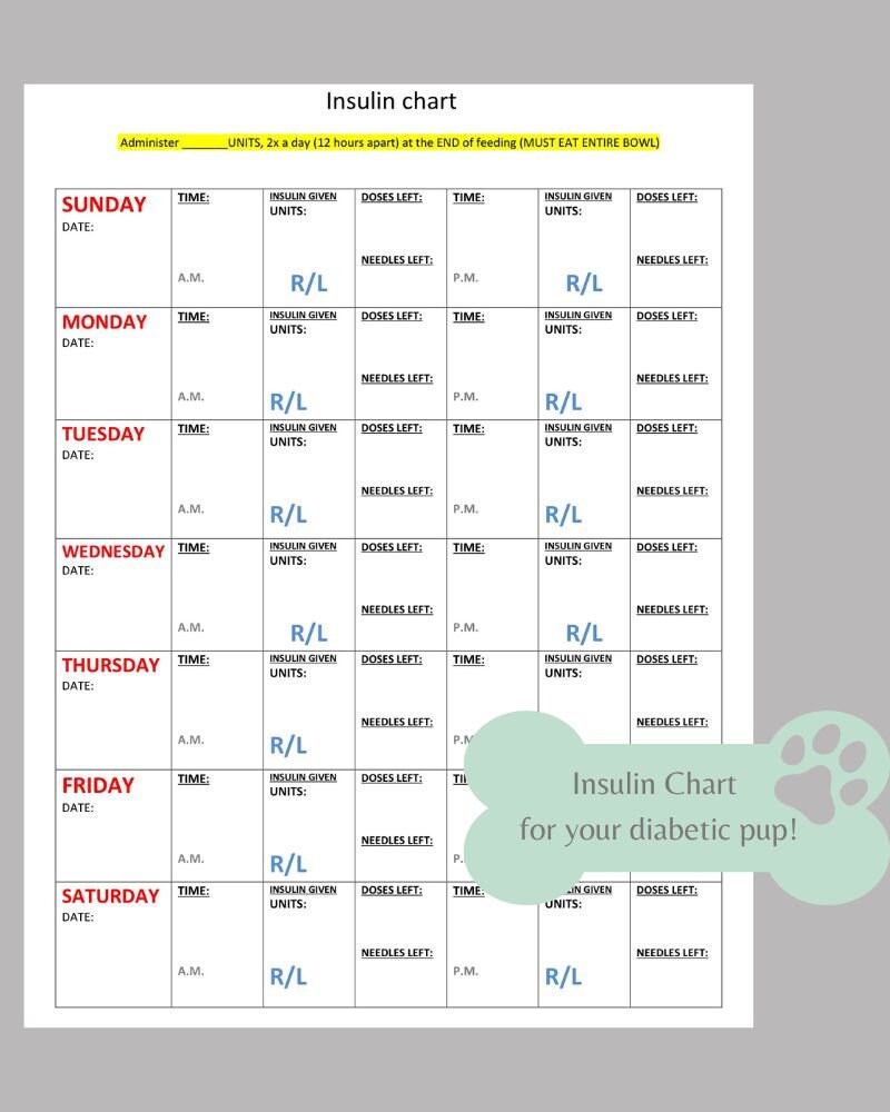 Printable Dog Insulin Chart, Log Book, Journal Planner, Monitor ...