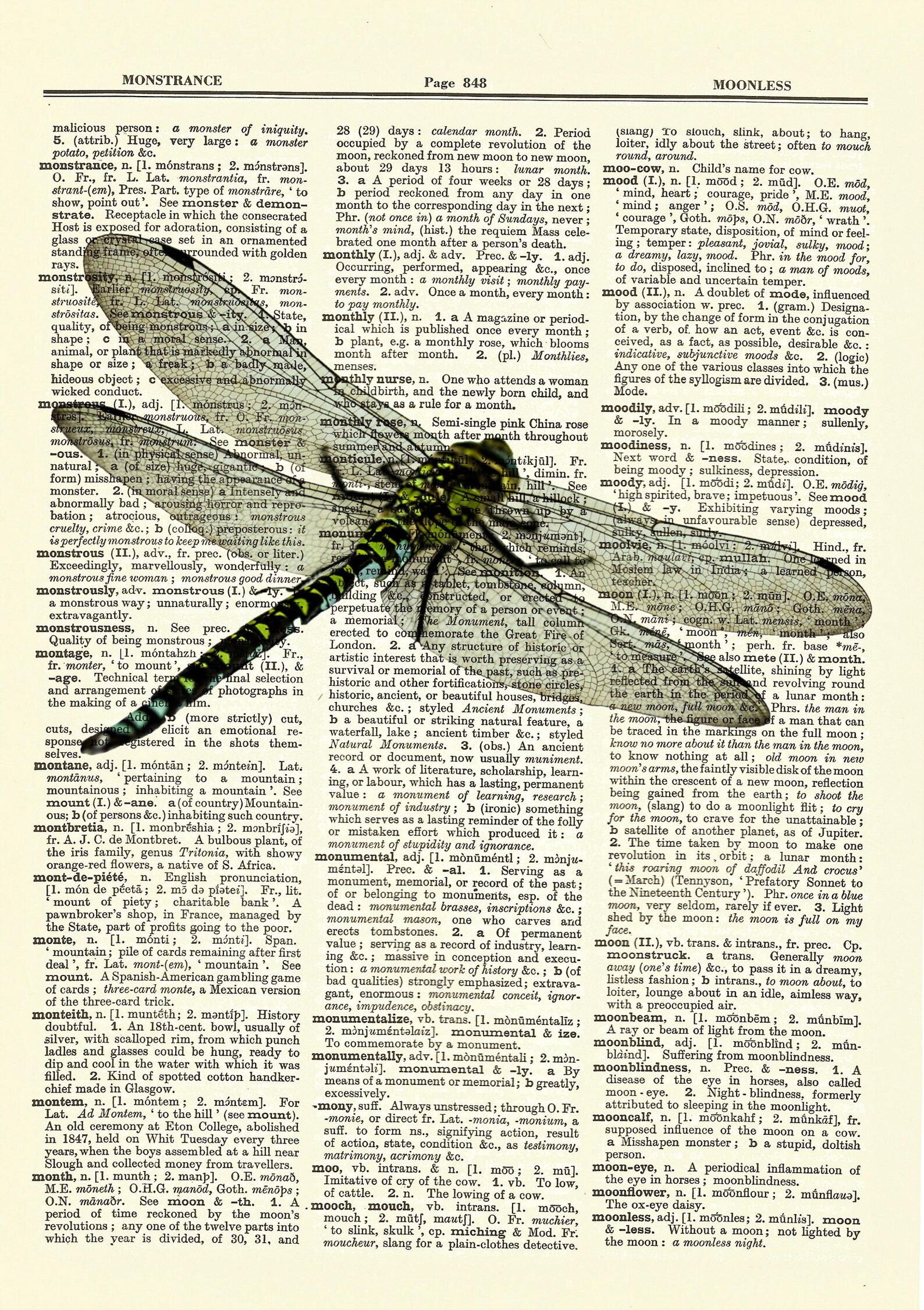 Dragonfly, Vintage Dictionary Art Print, Antique Picture, Wall Hanging ...