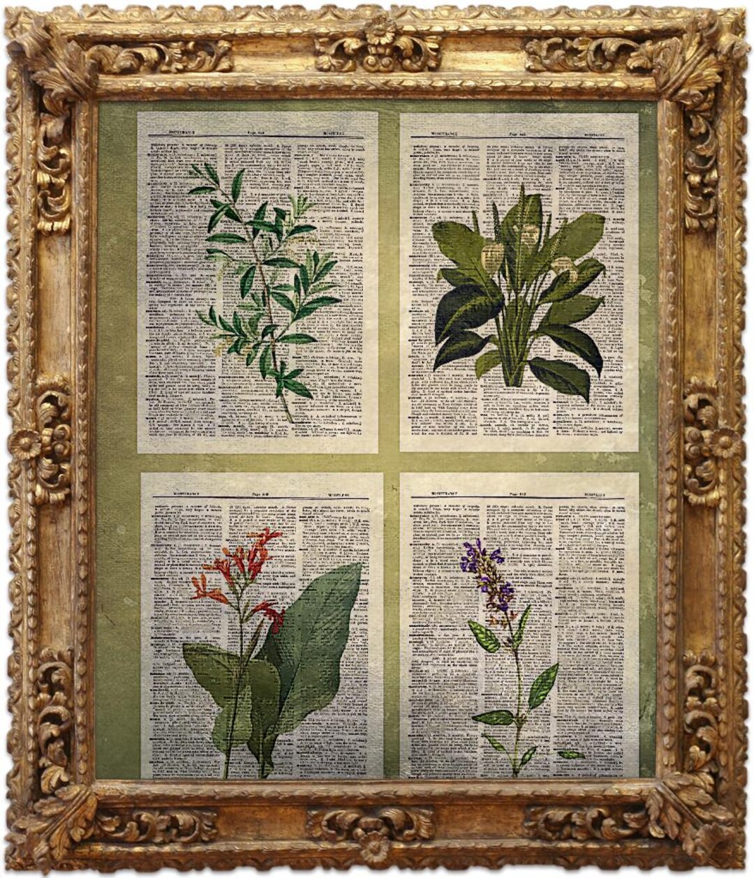 Botanical Print Set, Vintage Dictionary Art Print, Antique Picture ...