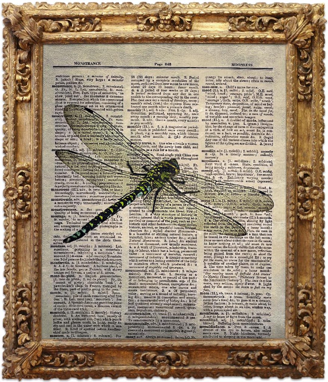 Dragonfly, Vintage Dictionary Art Print, Antique Picture, Wall Hanging ...