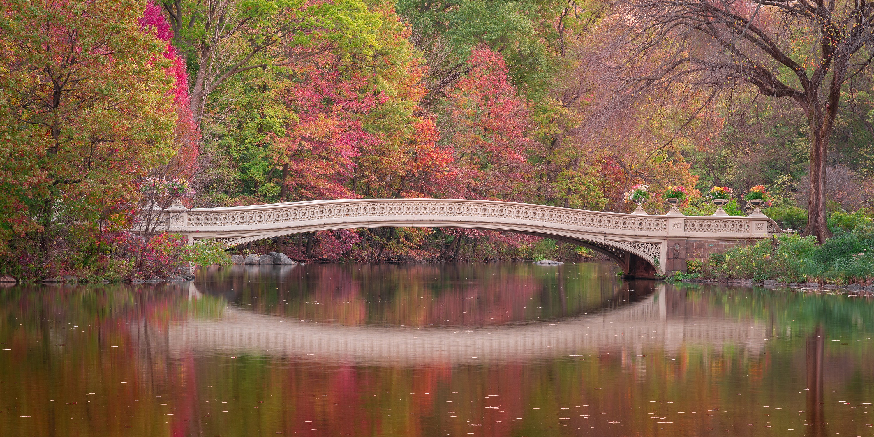 Central Park Bow Bridge Nested in Fall Foliage With Reflection - Etsy
