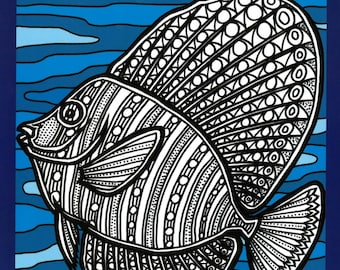 Marine Animal Outlines- a colouring in book
