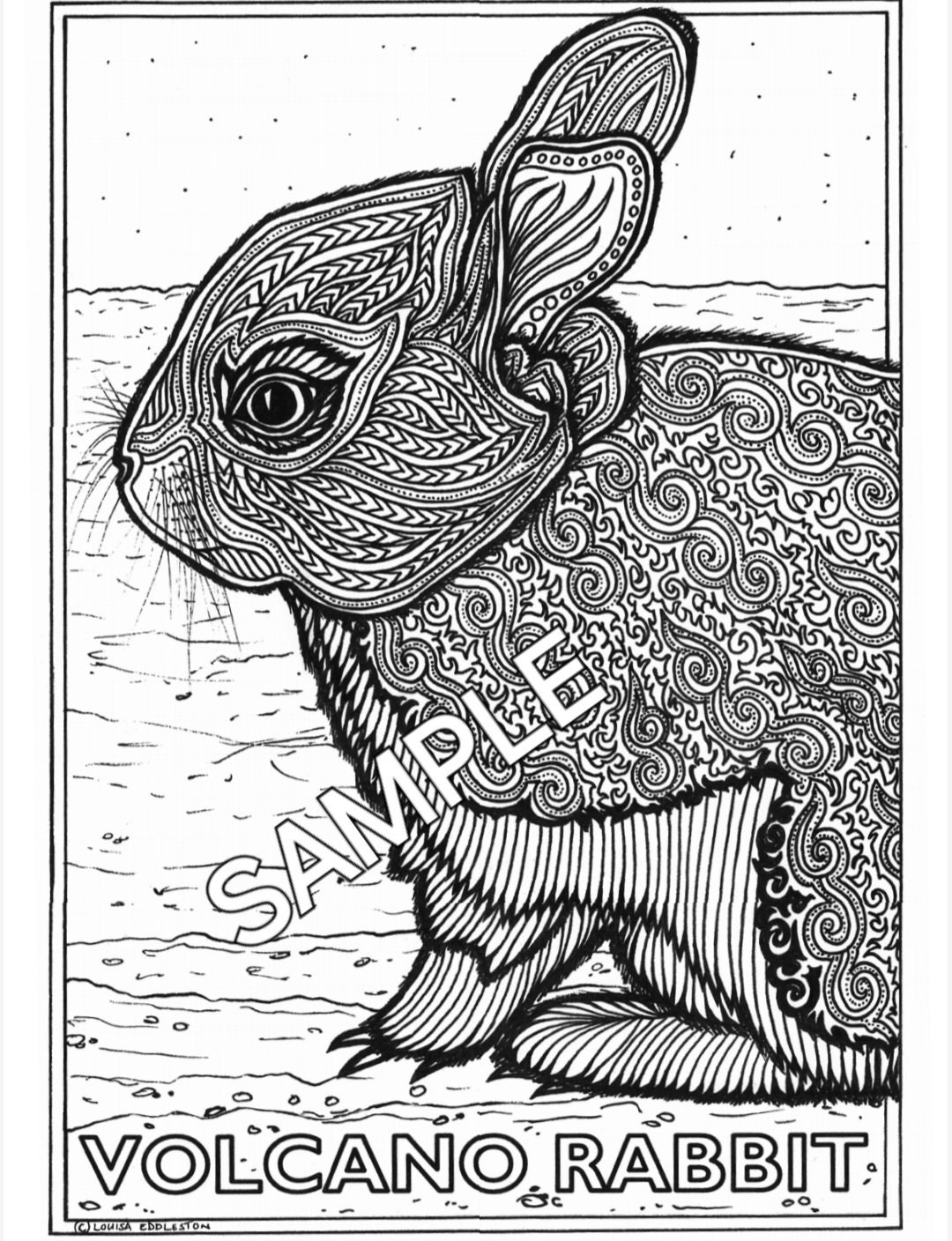 Volcano Rabbit Drawing