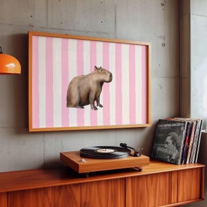 Op de afbeelding: Een ingelijst afdruk van een capibara op een roze en witte gestreepte achtergrond. De afdruk hangt aan een muur boven een platenspeler en een plank met platen.