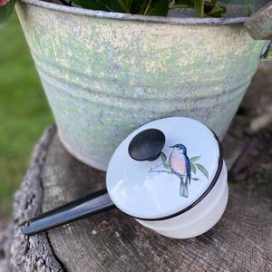 Did They Hand Paint Designs on Vintage Kitchen Gadgets? Discover!