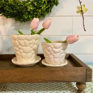 May include: Two off-white ceramic flower pots with a textured, bubble-like design, each holding a pink tulip. The pots sit on matching saucers, placed on a wooden tray. A green wreath and a sprig with a yellow flower are in the background.