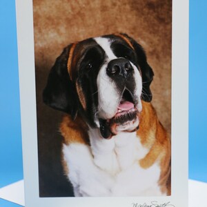 Carte de voeux photographique avec chien