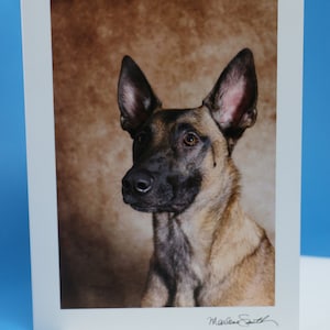 Biglietto di auguri fotografico con cane