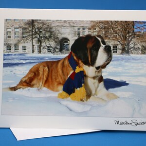 Biglietto di auguri fotografico con cane