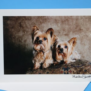 Biglietto di auguri fotografico con cane